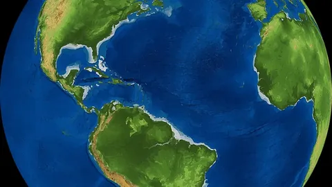 南安普顿主帅哈森-许特尔被解职，球队面临降级风险