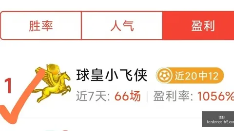 2026深度解析：海豚与鲶鱼数据对决